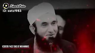 Islam Moulana Tariq jameel