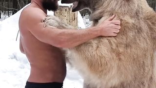 compilation animal short