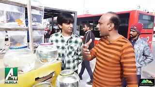 Goga and saleem ki jugten bazi
