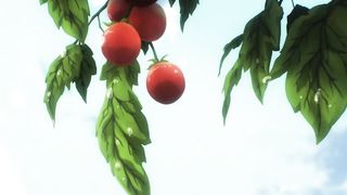One Punch Man Season 1 Episode 1