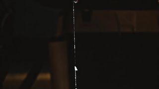 Beautiful ice fish catching
