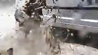 nice comedy video 3