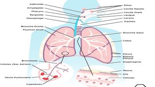 SOLUTION INFECTION RESPIRATOIRE