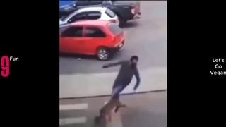 TRY NOT TO LAUGH ???? Best Funny Videos Compilation ???????????? Memes PART 40 2