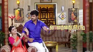 vanathai pola serial 3rd April 2023 l #vanathaipolatodayepisode