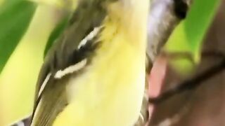 beauty of nature 2