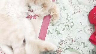 Sleepy Company #viral #99#