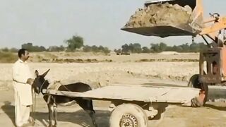 funny video | entertainment videos