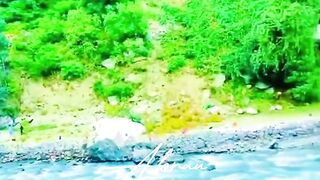 Fantastic kalam