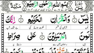 Surat Yasin Sharif with HD Arabic Text and URDU translation word by word (سورہ یس) beautiful Quran.