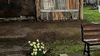 Flowers beautiful-Narcise