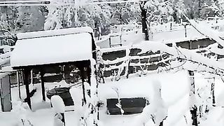 snow dream landscape