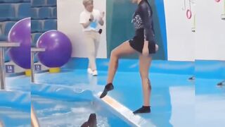 Entertainment video 7