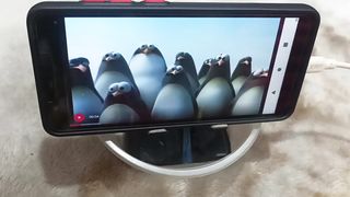VT095233mp4
