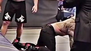 WWE racling roman and Brock