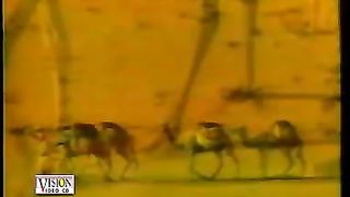 Old Naat Shah e Madina on ptv