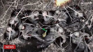Ukrainian drones grenades blow up dozens Russian tanks and soldier