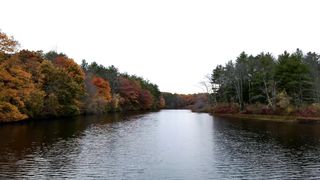 Beauty of river 2