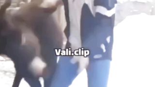 ???????????????????????? 11