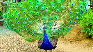 Beautiful Creatures by all standard.