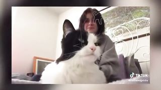 Chat funny 3