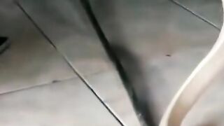 KING COBRA TERKEREN YANG PERNAH DILIHAT SELAMA HIDUP PANJI‼️