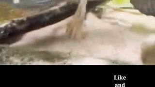 Channa barca keren bgt , memang idola ni channa