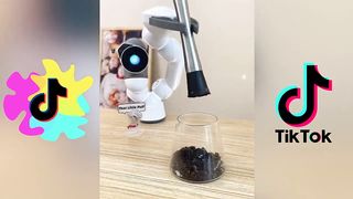 Tik tok 2023,That Little Puff Tiktok Compilation,cats make food.