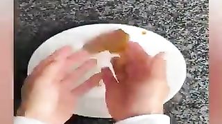 Squid Game Netflix Dogs And Cats Cats Squid Game Videos compilation 2023 #animals #funny #cat