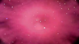 Pink panther 3