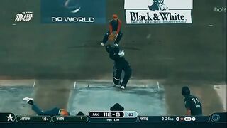 Cricket 19