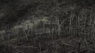 ELVENKING - Bride of Night (feat. Heike Langhans) (2023)