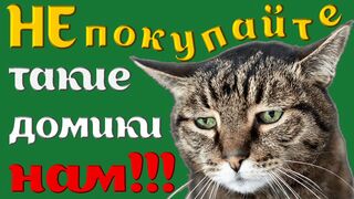 Кошкин дом. Где кошки живут.