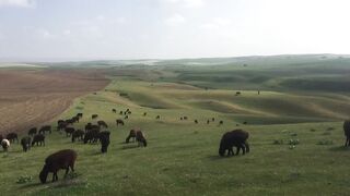 Beautiful nature ????????????