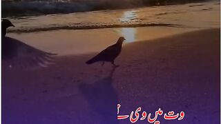 Best poetry 4