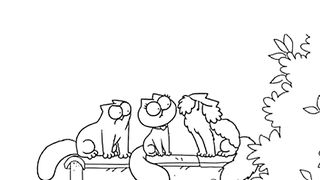 Cinnamon cats