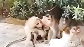 Funny  video ????????