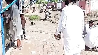 funny video 44