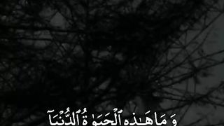 Masha Allah 9