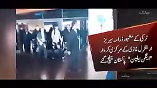 funny  video