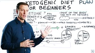 Ketogenic Diet Plan for Beginners - Dr. Berg.