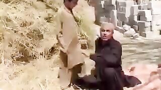 Funny video 442