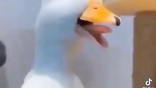 Приколв