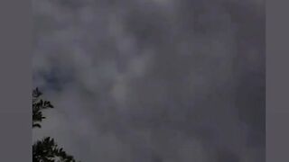 #like#trnding#viralvideo 3