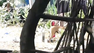 videos to distract your kids-funny animals that will make you laugh 3