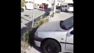 TRY NOT TO LAUGH ???? Best Funny Videos Compilation ???????????? Memes 4