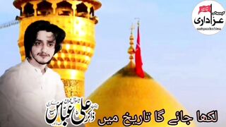 Zakir Ali Abbas askari waliyat satatus
