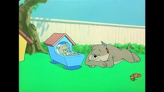 Tom and Jerry fun