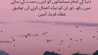 Islamic 117