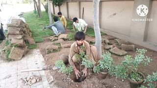 Landscaping ideas 2